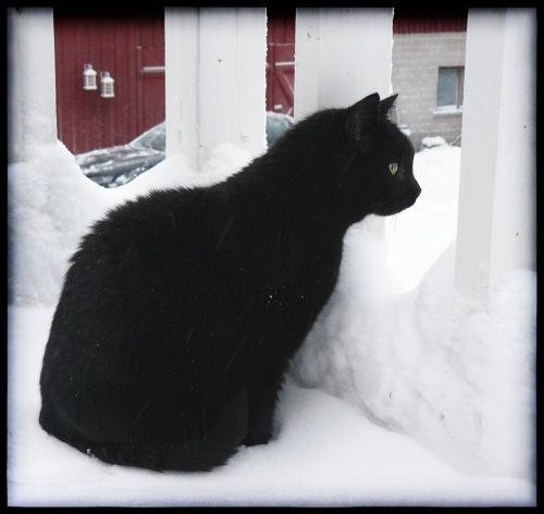 Eetu, midwinter 2009